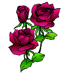 j'ADOR LES ROSES