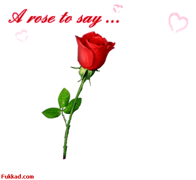 je t'aime passionement a la folie