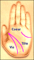 COEUR-VIE-TETE