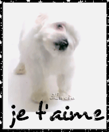POUR LA VIE