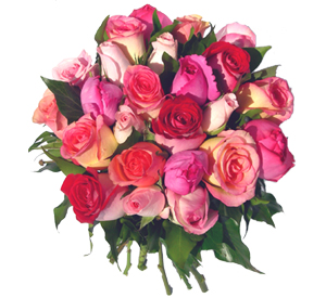 j'ador les roses