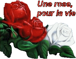 UNE ROSE POUR LA VIE
