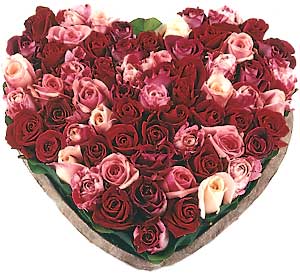 j'ador les roses