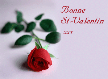bonne  st-valentin x  x x