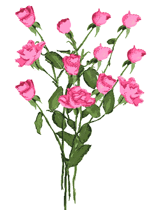 rose pour la vie